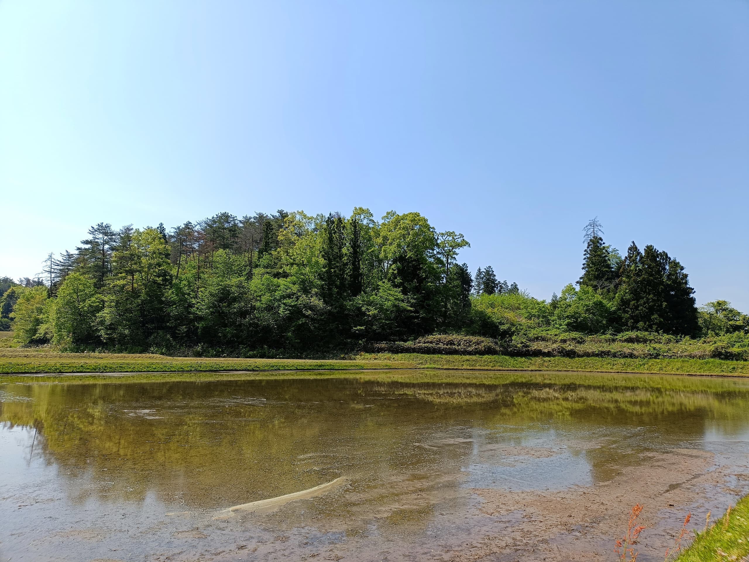 img20250514095129.jpg